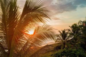 8 Best Costa Rica Tree House Resorts (Villas|Lodges|Hotels)